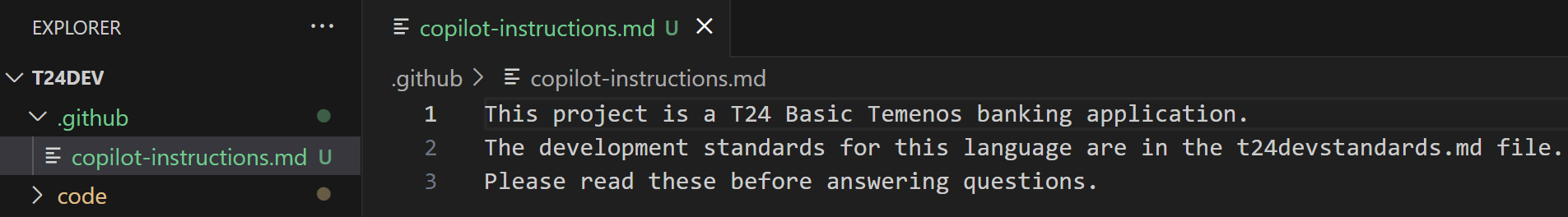 Example of a Copilot Instructions file